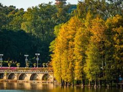 -麓湖高尔夫球俱乐部