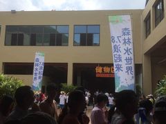 -苏州乐园森林水世界