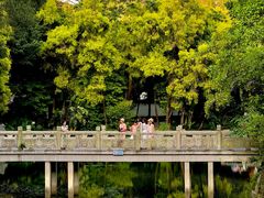 -深圳国际园林花卉博览园