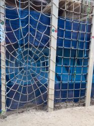 点击看大图 -PIPIKINGDOM皮皮王国欢乐号(欢乐海岸购物中心店)