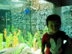 android_upload_pic-洛阳龙门海洋馆