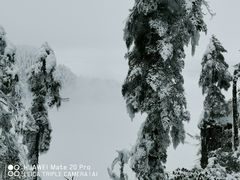 -瓦屋山景区