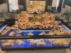 -蟹道乐(道顿堀本店)