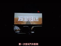 -枫花园汽车电影院(朝阳公园店)