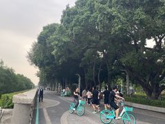 -宝安西湾红树林湿地公园