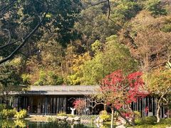 -云溪植物园