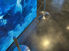 -深圳湾万象城(南山店)