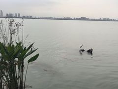 -苏州独墅湖世尊酒店