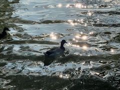 -海珠湖公园