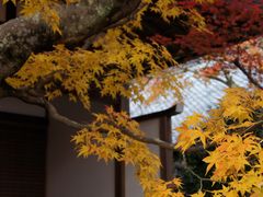 -常寂光寺