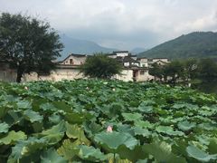 -屯溪老街