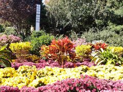 -大兴滨河森林公园