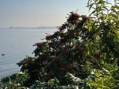 -泊石湾海滨浴场