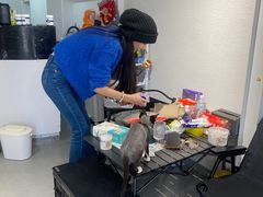 -琪喵猫屋·撸猫猫咖·猫舍