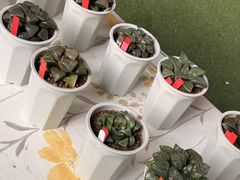 -瑞虹新天地月亮湾