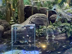 -上海海洋水族馆