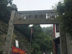 -十八棵（老龙井）御茶园(老龙井店)