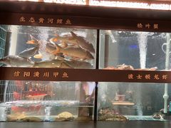 -阿五黄河大鲤鱼(英协路店)