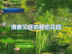 -上海共青森林公园