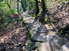 -岣嵝峰国家森林公园