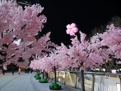 -金茂览秀城