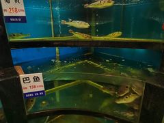 -莆鑫海鲜城(浏河店)