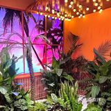 真的不在泰兰德！！在江门很chill的泰国菜