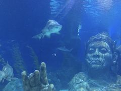 -暹罗海洋世界