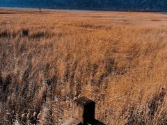 -野鸭湖国家湿地公园