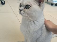 -怪兽屋·羊驼·猫咖·狗咖(俊华广场店)