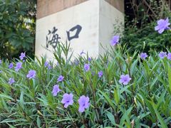 -海口喜来登酒店