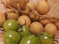 -季季山•云南野生菌火锅(上海首店)