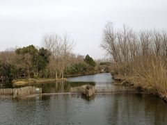 -溱湖国家湿地公园