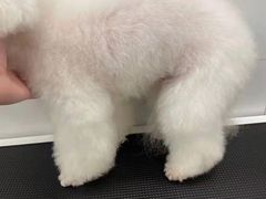 -comecome来吧宠物(奥克斯中心店)