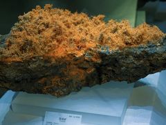 -湖南省地质博物馆