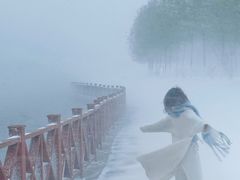 -丁香湖公园