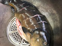 -北京龙庆四季香农家饭庄·灶台鱼·碳烤虹鳟鱼(龙庆峡店)