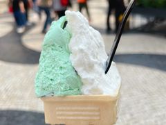 -柠檬车露(卖草地店)