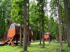 -黄海国家森林公园