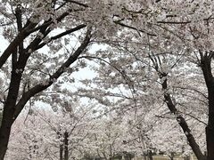 -关你鬼室大型密室逃脱(佛山创意园店)