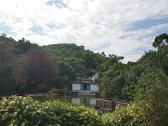-深圳国际园林花卉博览园