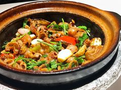 啫啫石斑鱼扣-煲煲好(朝阳门店)