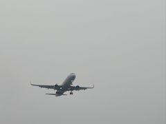 -空港花田景区