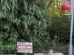 -燕郊植物园