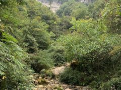 -鹿院坪生态旅游景区