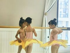 -iBallet爱芭蕾舞蹈艺术中心(星合校区)