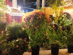 -园林美食城·本土农家菜(杨和镇店)