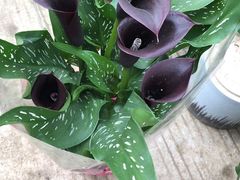 -王虎子大饼(甸柳新村五区店)