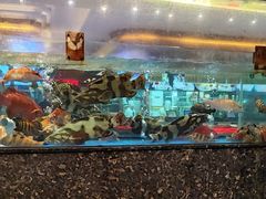 -聚福宝合苑食府(南头镇店)