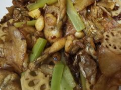招牌干锅牛蛙-蛙蛙叫干锅年代(簋街总店)